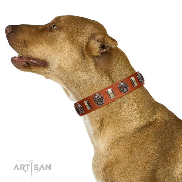  Tan Leather Artisan Leather Pitbull Collar for DAily Control