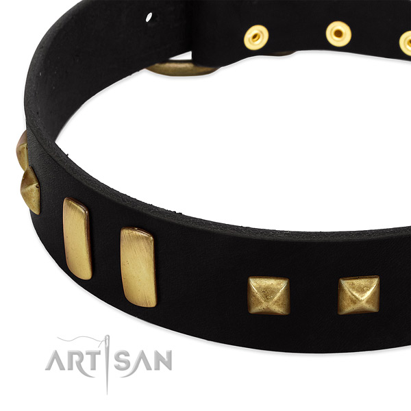 Black Dog Collar with Old-bronze Plated Decorations