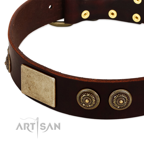 Brown dog collar with large plates and engraved studs