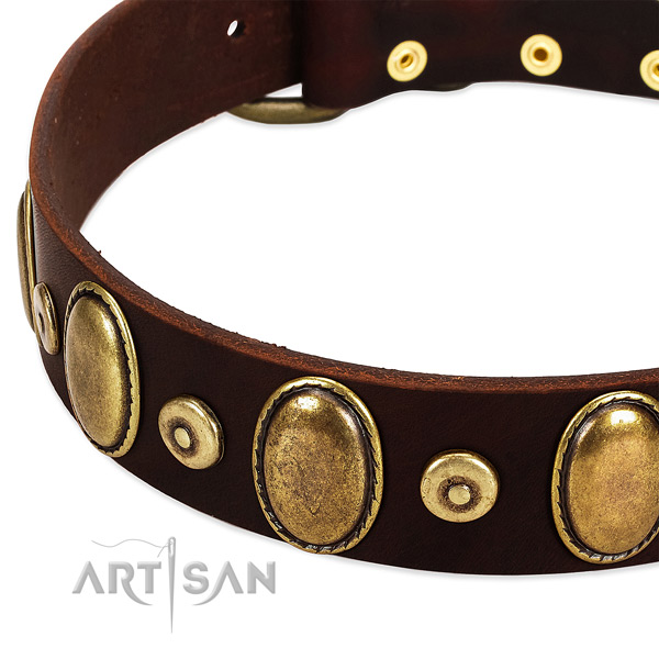 Rust-proof Old Bronze-like Plated Fittings on Brown
Leather Dog Collar