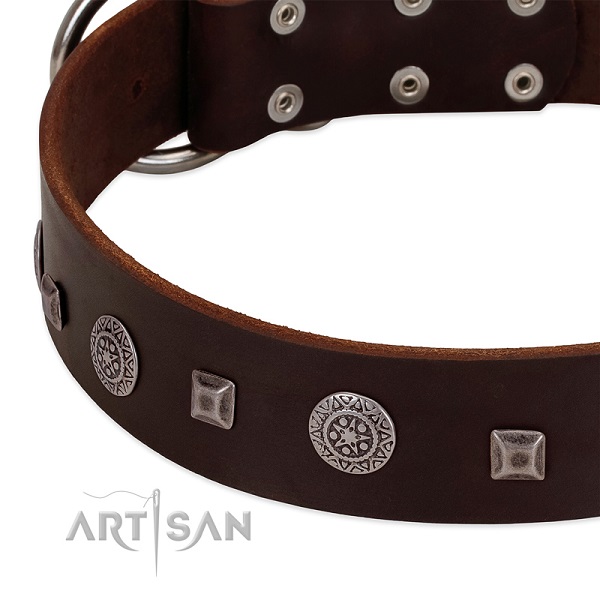 Modern brown leather dog collar with cool decorations