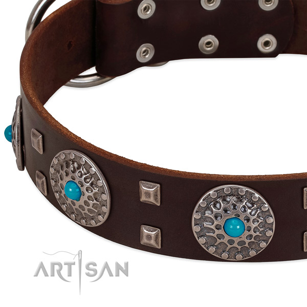 Elegant leather dog collar with luxurious decorations