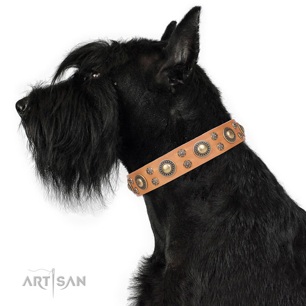 Reisenschnauzer embellished full grain natural leather dog collar with decorations