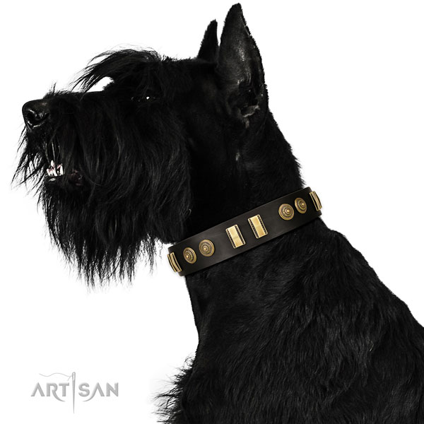 Reisenschnauzer daily walking dog collar of extraordinary quality leather
