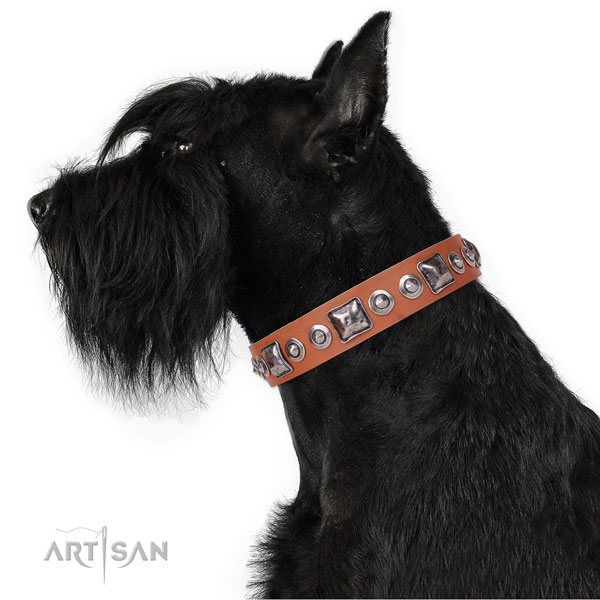 Reisenschnauzer easy adjustable full grain natural leather dog collar with embellishments