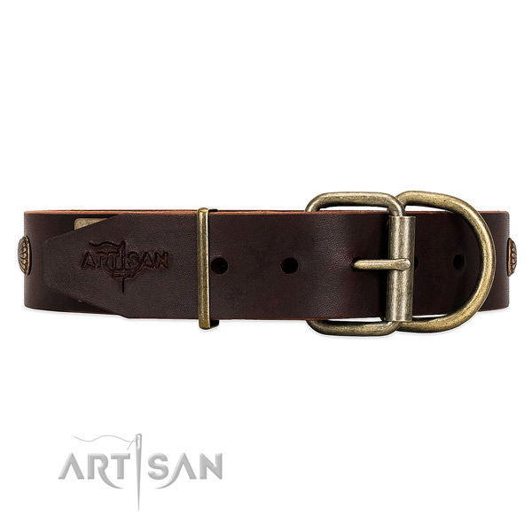 Brown Dog Collar with Rust-proof Buckle and D-ring