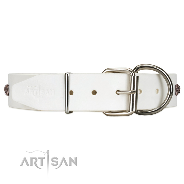 Reliable leather dog collar with easy-to-fix closure
