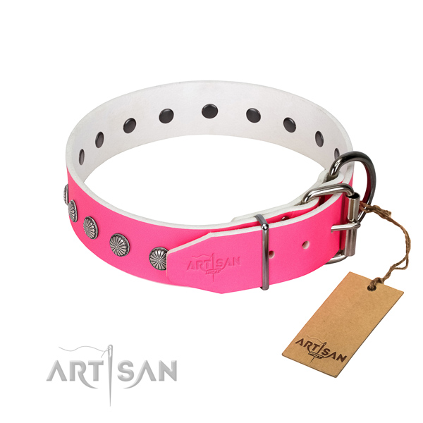 Studded leather dog collar with silver-like plated
fittings