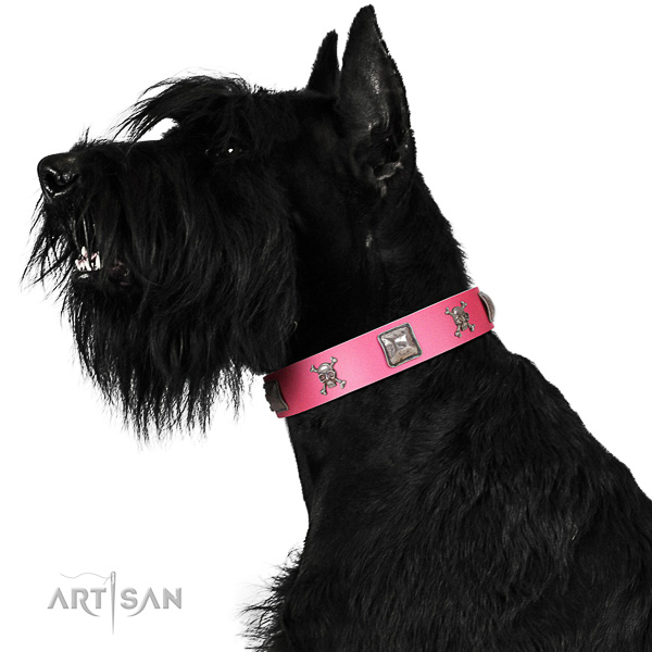 Extraordinary walking pink leather Riesenschnauzer collar
with
cool decorations