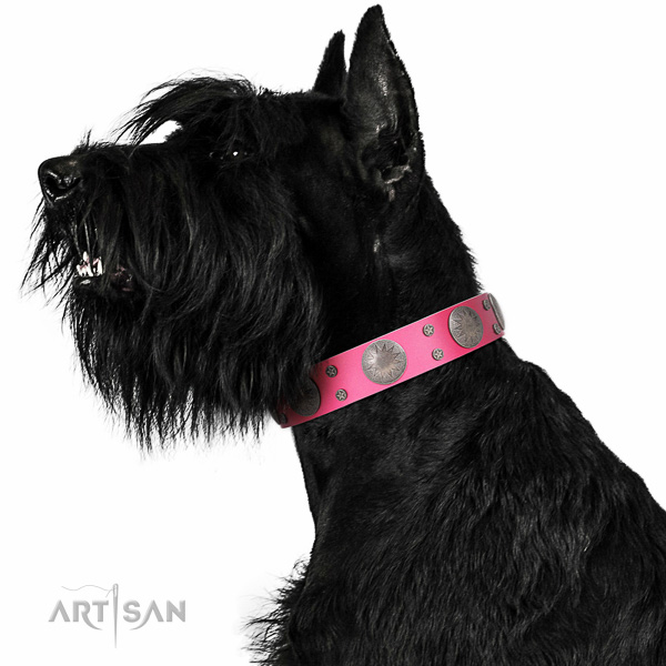 Artisan leather Riesenschnauzer collar for perfect
control
