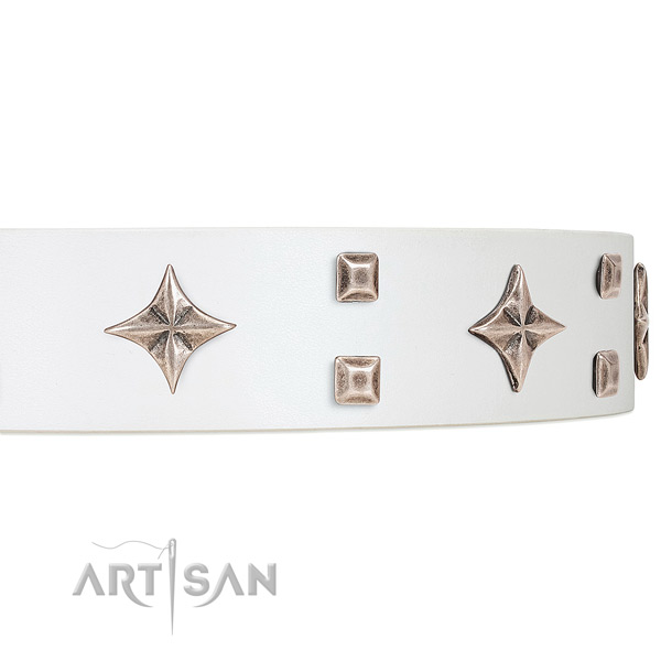 Premium quality white leather dog collar with attractive
stars and studs