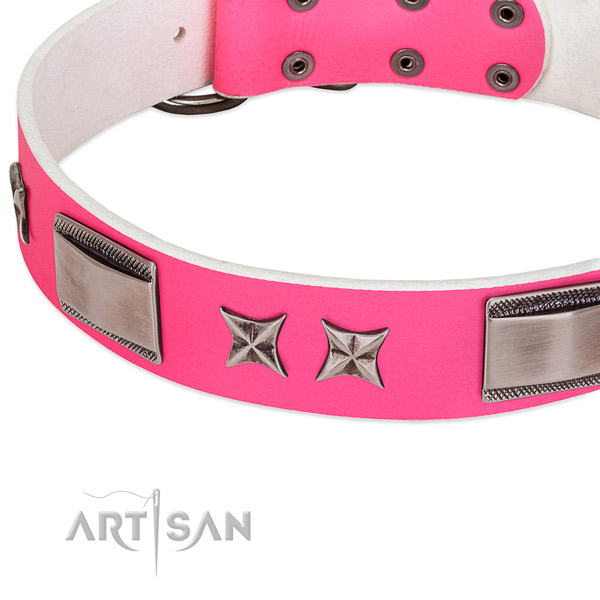 Fashionable leather dog collar with chrome-plated
adornments