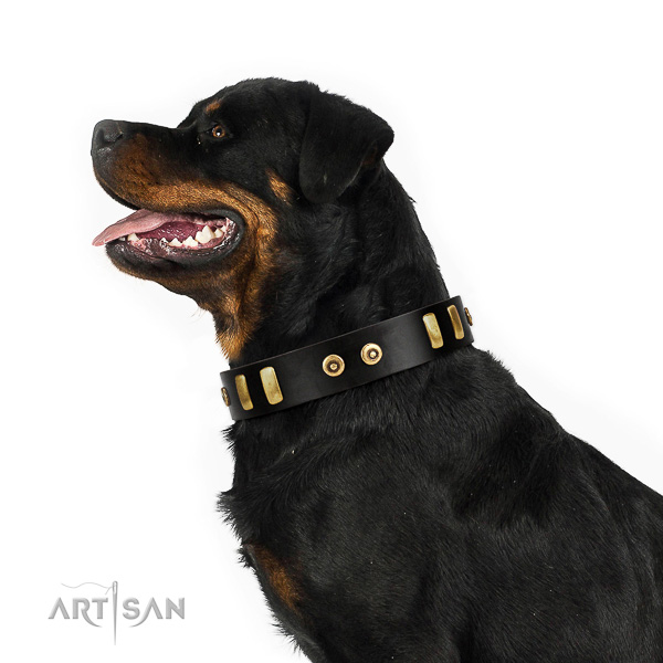 Extraordinary walking black leather Rottweiler collar
with stars and ovals