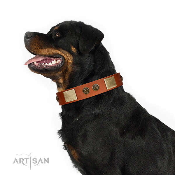 Unusual Style Tan Leather FDT Artisan Rottweiler Collar