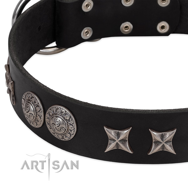 Black leather dog collar with elegant decorations