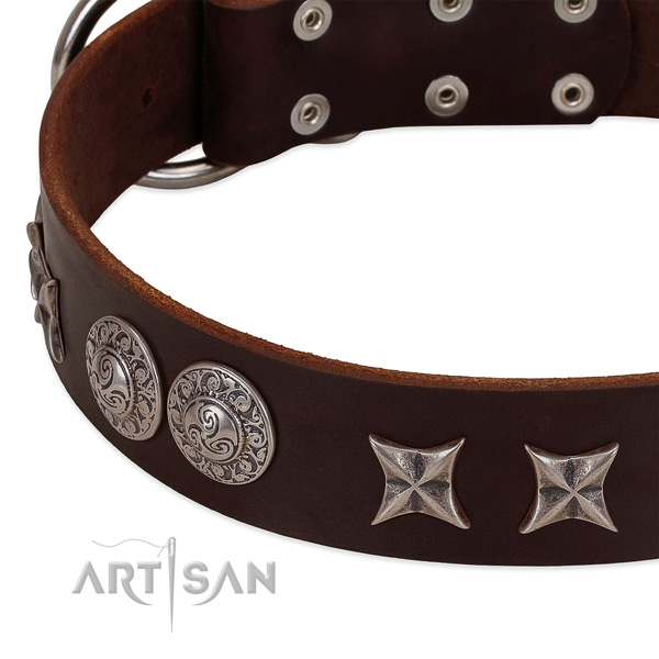 Brown leather dog collar with stylish decorations