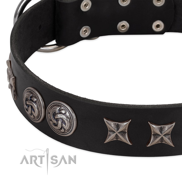Modern black leather dog collar with cool decorations