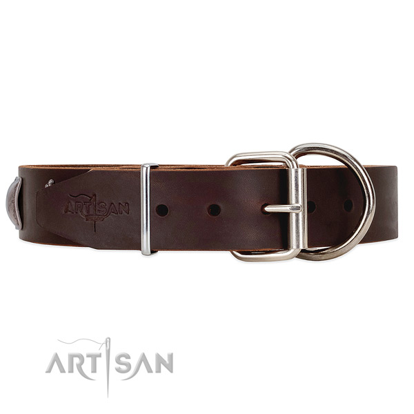 Reliable Hardware on Brown Leather Dog Collar