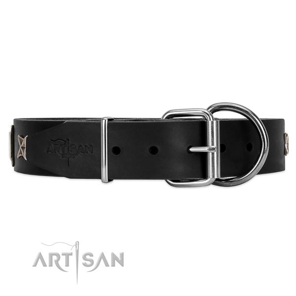Black leather dog collar with durable fittings