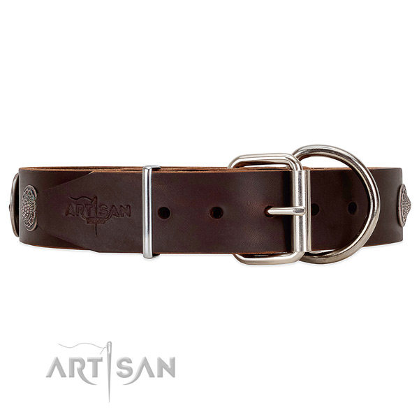Unique style brown leather dog collar with tough
fittings