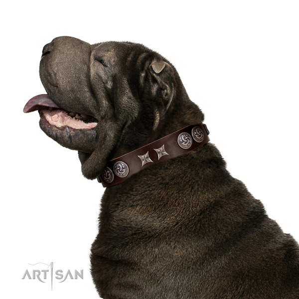 Extraordinary walking brown leather Shar Pei collar with
unusual decorations