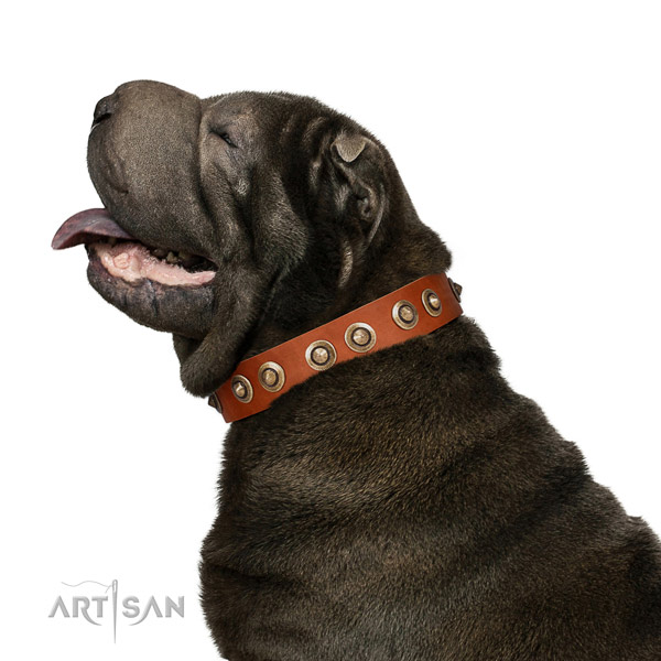 Antique Leather Shar Pei Collar with Old-bronze Circles