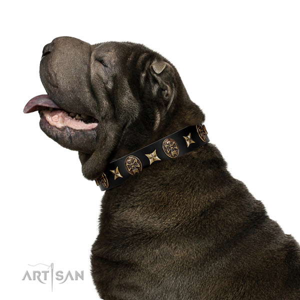 Comfortable leather Shar Pei collar for walking