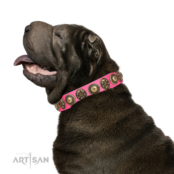Completely non-toxic and safe leather Shar Pei collar