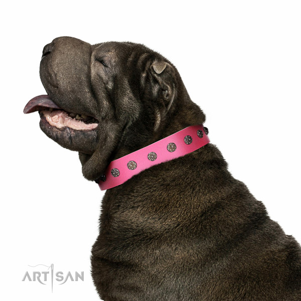 Extraordinary walking pink leather Shar-Pei collar with
chic decorations