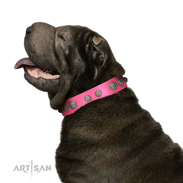 Delux walking pink leather Shar Pei collar with
charming decorations