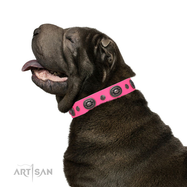 Shar Pei handmade full grain leather dog collar with adornments