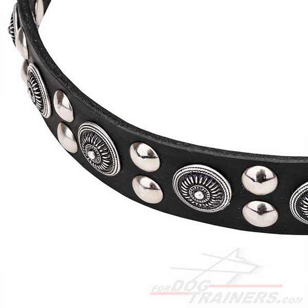 Silver-like Fittings on Leather Dog Collar