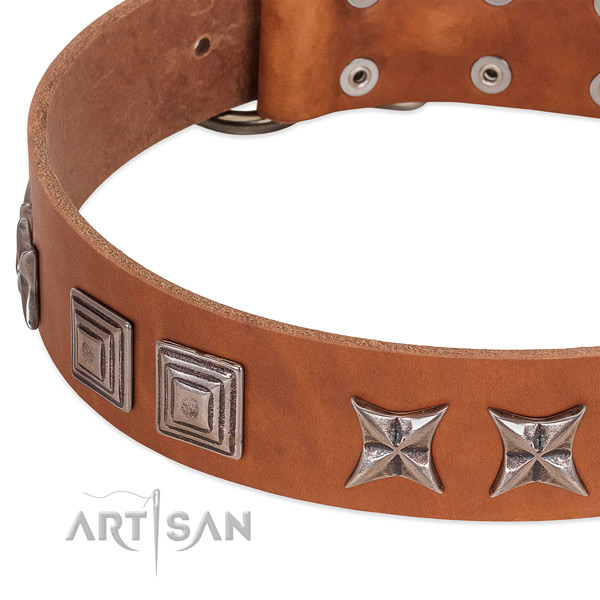 Tan leather dog collar with antique decorations