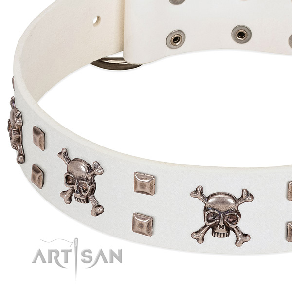White leather dog collar with exclusive decorations