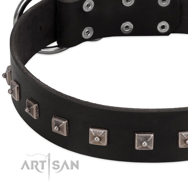 Black leather dog collar with posh decorations