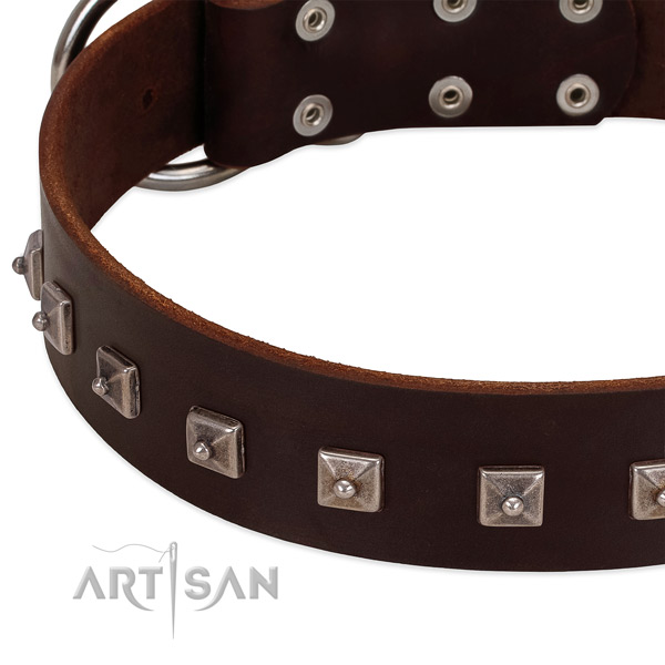 Brown leather dog collar with posh decorations