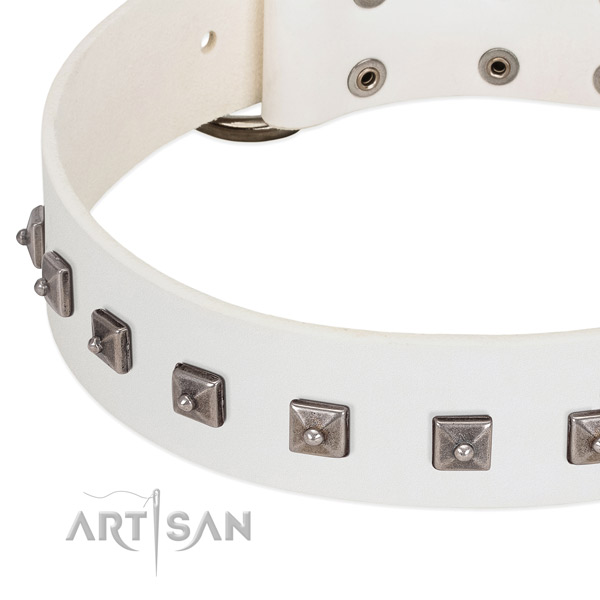 White leather dog collar with posh decorations