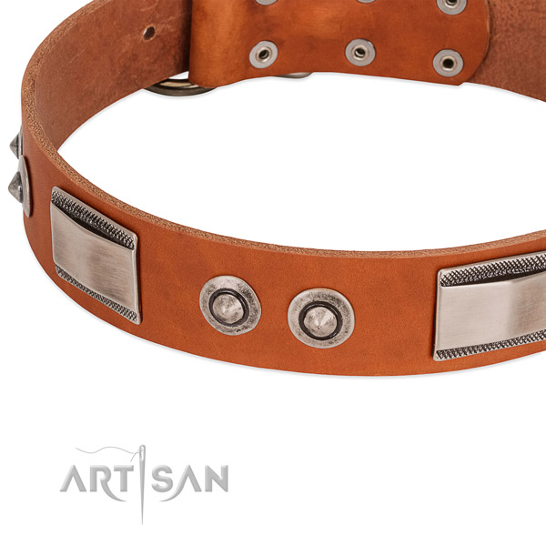Classy Leather Dog Collar with Shiny Brooches adn Plates