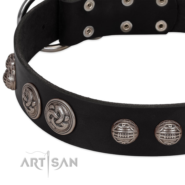 Black leather dog collar with riveted ornate conchos