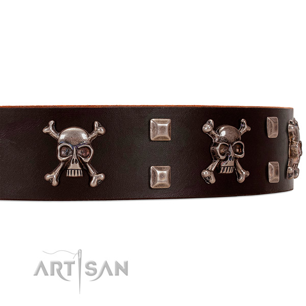 Brown leather dog collar with awesome decorations
