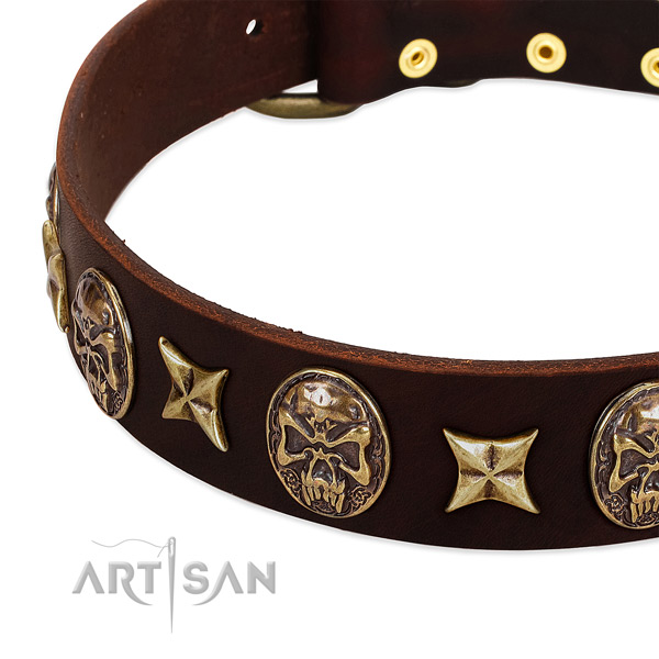 Old bronze-like stars and skulls on brown leather FDT
Artisan collar