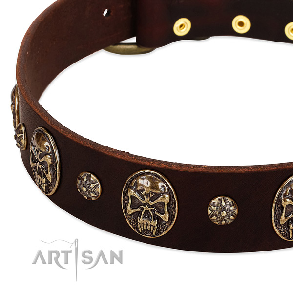 Brown dog collar with studs and medallions
