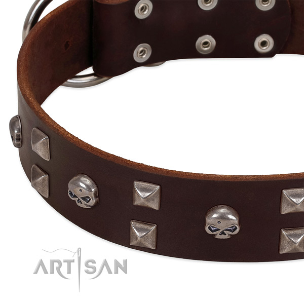 Brown handmade leather dog collar with stylish
decorations
