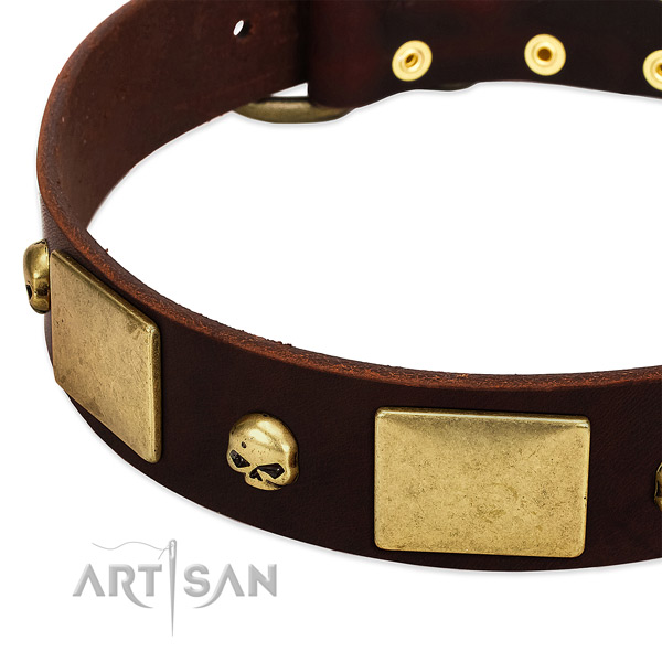 Premium Quality Leather Dog Collar with Handset Skulls
and Plates