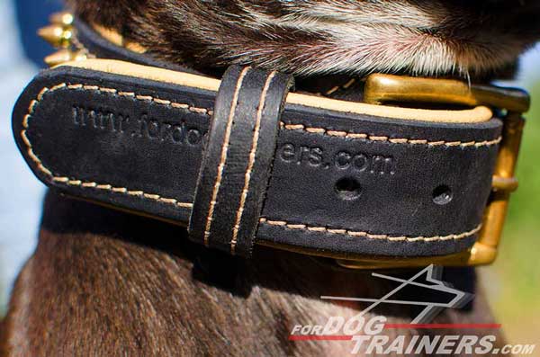 Strong Buckle with Tip Fixator on Leather Pitbull Collar 