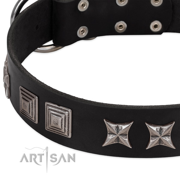 Blacl leather dog collar with cool decorations