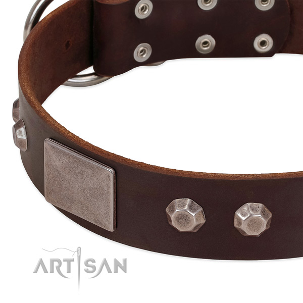 Brown leather dog collar with cool modern decorations