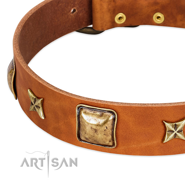 Old bronze-like stars and squares on tan leather FDT
Artisan collar
