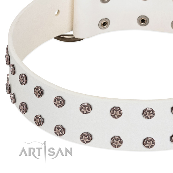 White leather dog collar with starry decorations