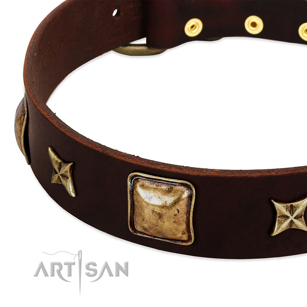 Old bronze-like squares and stars on brown leather FDT
Artisan collar